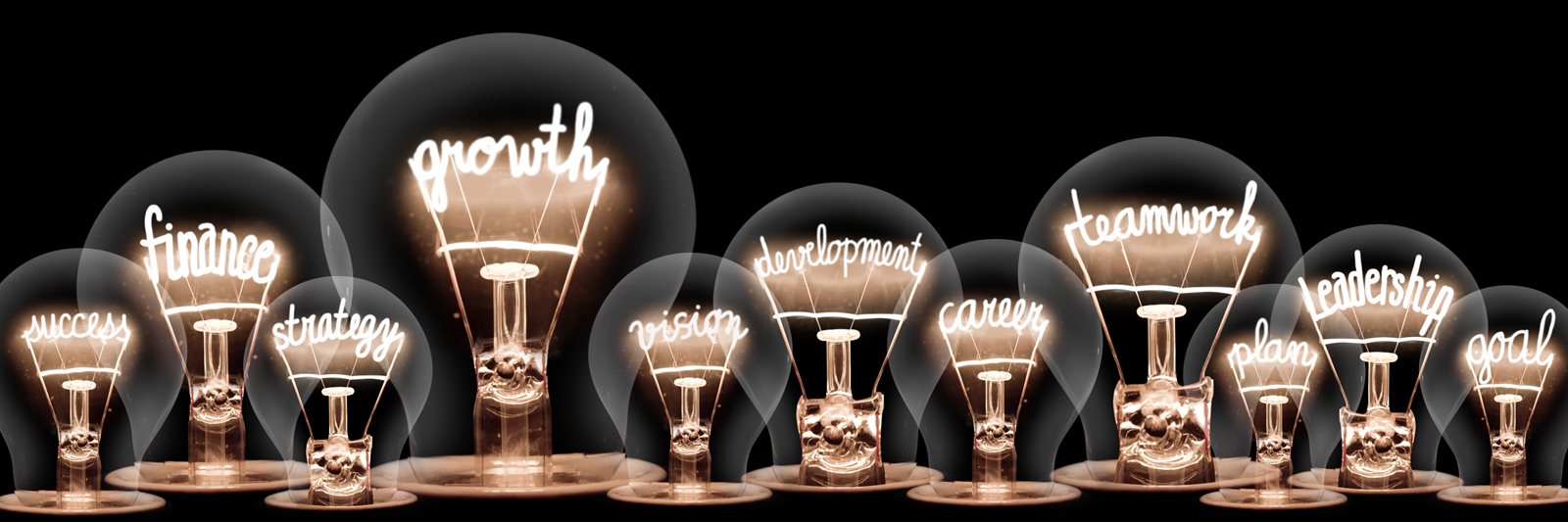 Image of lightbulb representing education